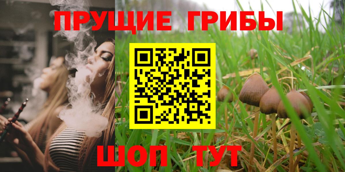 Псилоцибиновые грибы Cubensis  Вход с VPN  купить наркотик  Кропоткин 